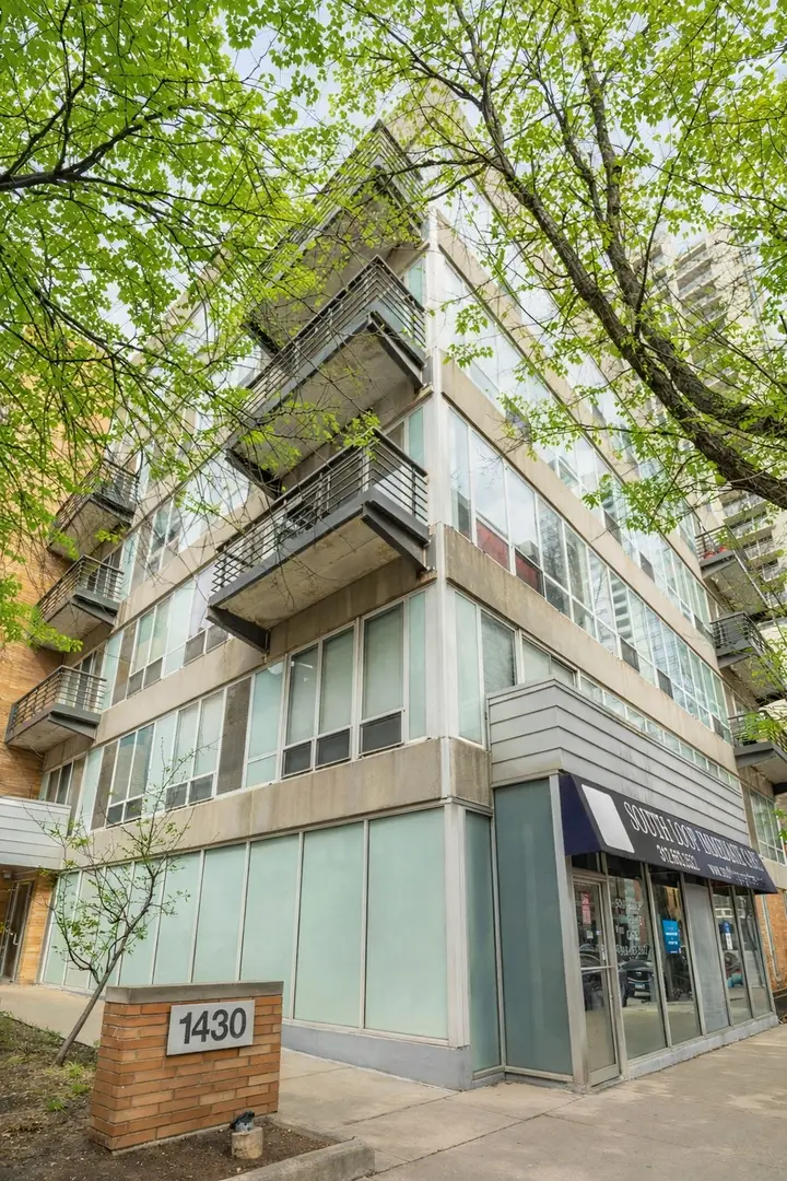 1430 S Michigan Avenue #201, Chicago, IL 60605 - #1