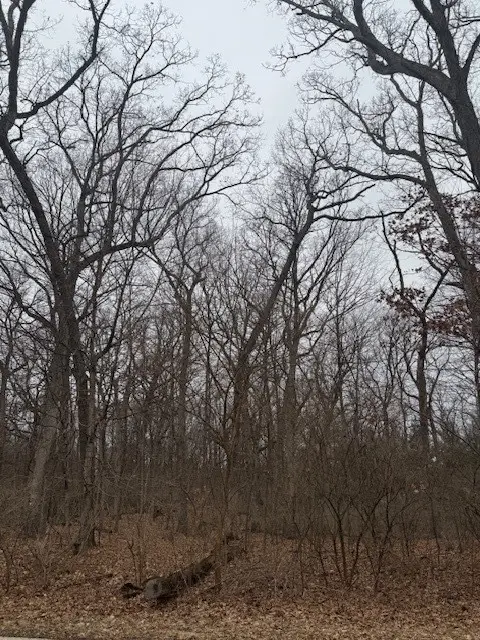 1833 Indian Trail, Kankakee, IL 60901 - #2