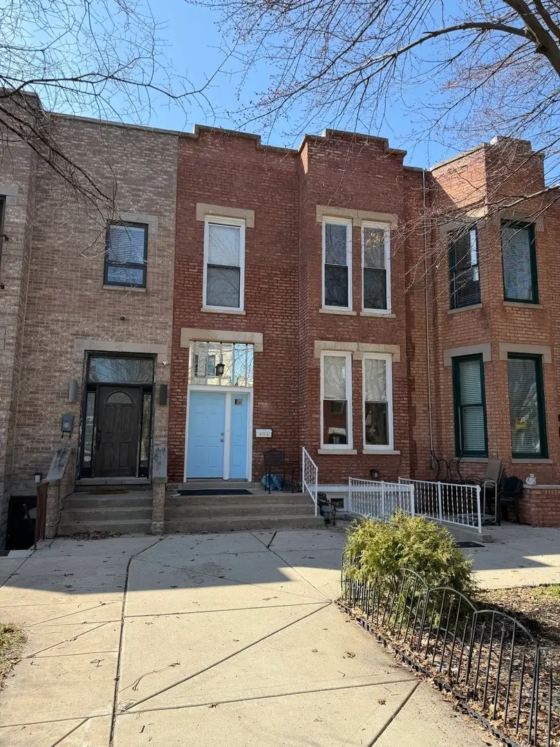 916 S Bishop Street, Chicago, IL 60607 - #2