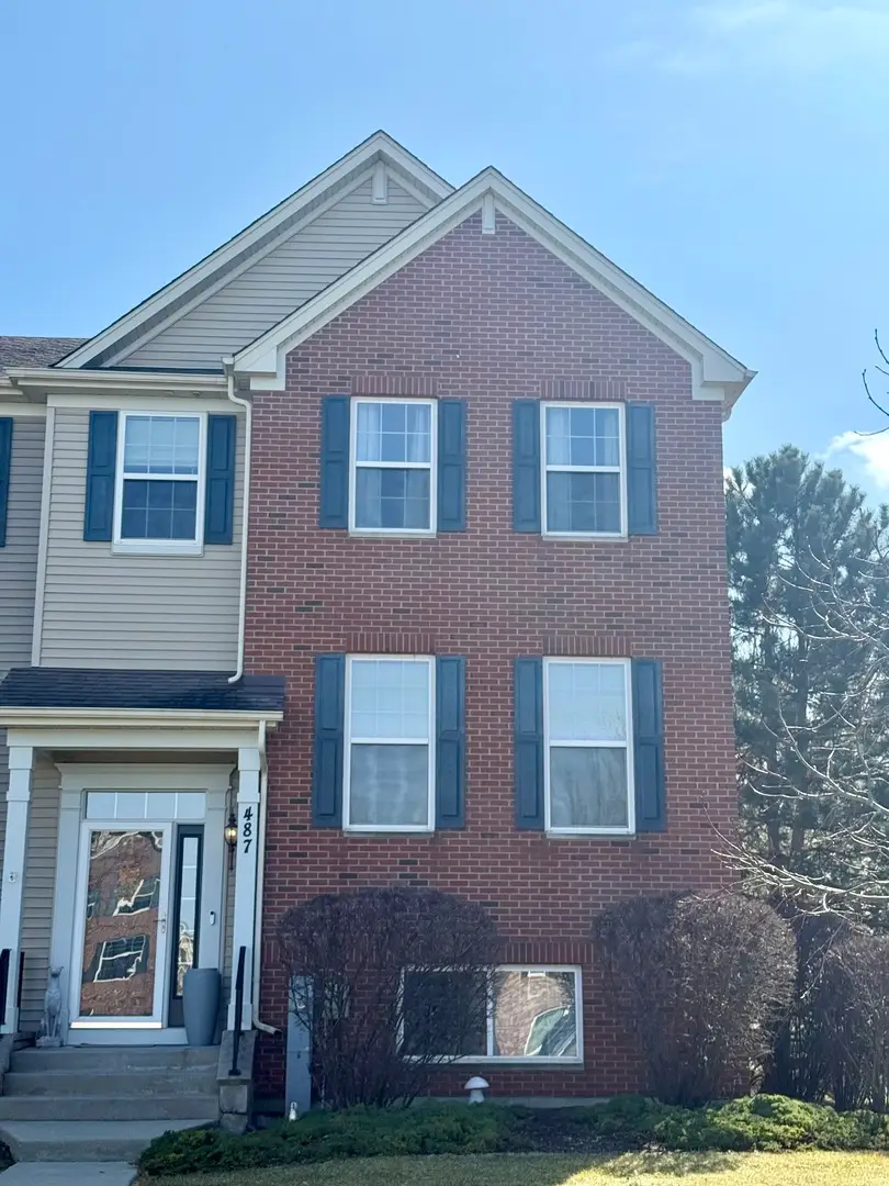 487 Town Center Boulevard, Gilberts, IL 60136 - #1