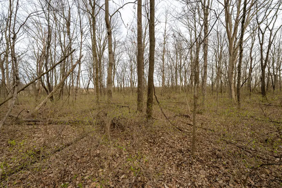 Lot 9 Raintree Woods Drive, Urbana, IL 61802 - #2