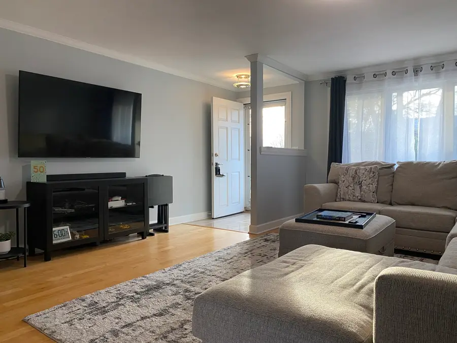 717 Slingerland Drive, Schaumburg, IL 60193 - #3