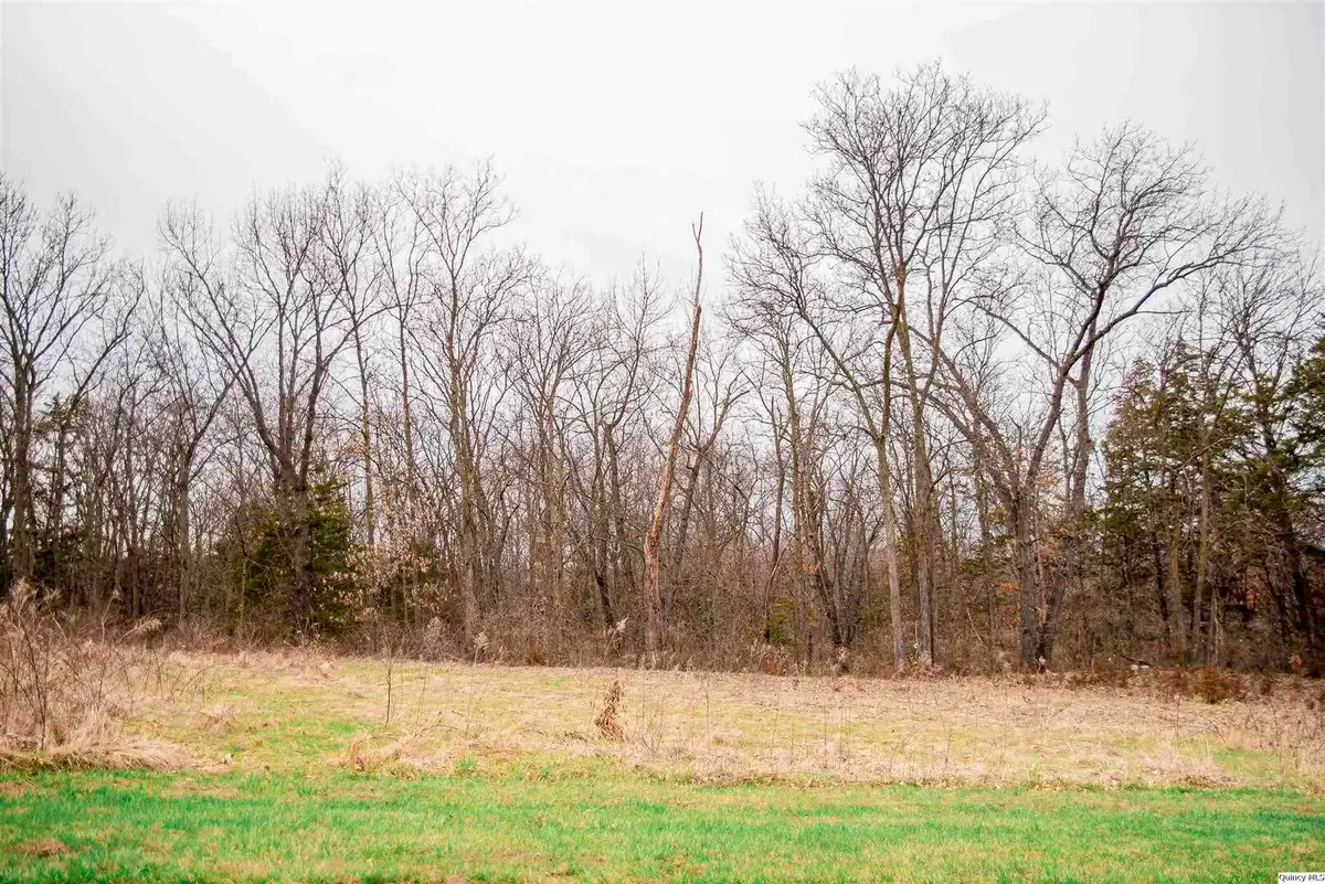 4616 Barbara Jane, Quincy, IL 62305 - #1