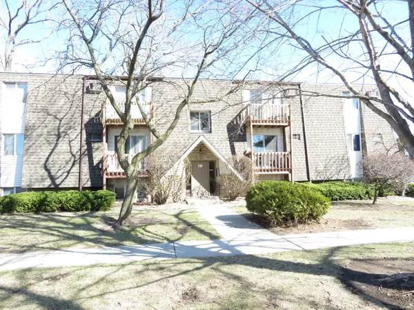 218 Madison Street #3B, Joliet, IL 60435