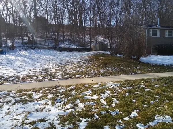 19 N Lincoln Avenue, Carpentersville, IL 60110