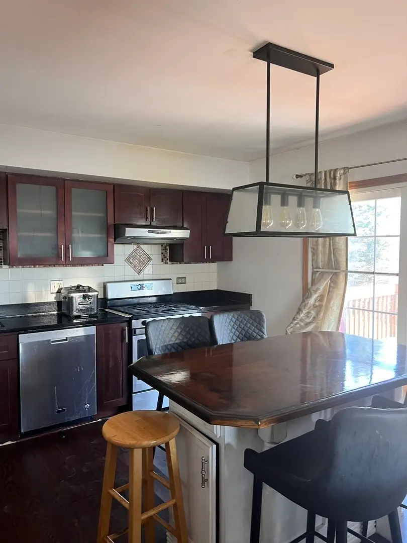 19609 Oakwood Avenue, Lynwood, IL 60411 - #3