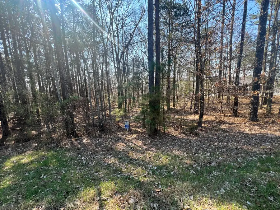 Lot 139 Cherry Point, Goreville, IL 62939 - #2