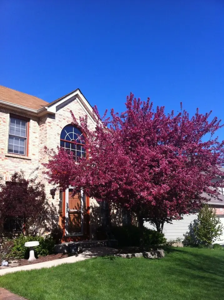 113 Woodlet Lane, Bolingbrook, IL 60490 - #2