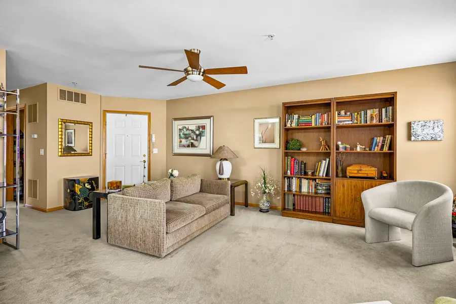 13809 S Bristlecone Drive #A, Plainfield, IL 60544 - #2