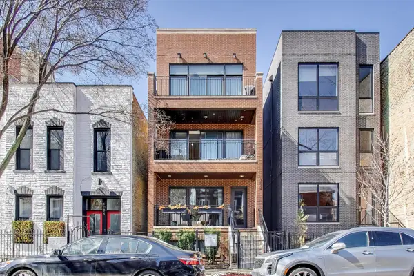 1036 N Paulina Street #2, Chicago, IL 60622