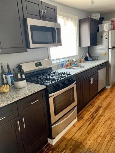 1901 S Ruble Street, Chicago, IL 60616 - #2