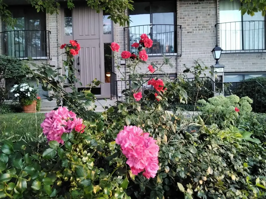 1706 Northfield Square #D, Northfield, IL 60093 - #2