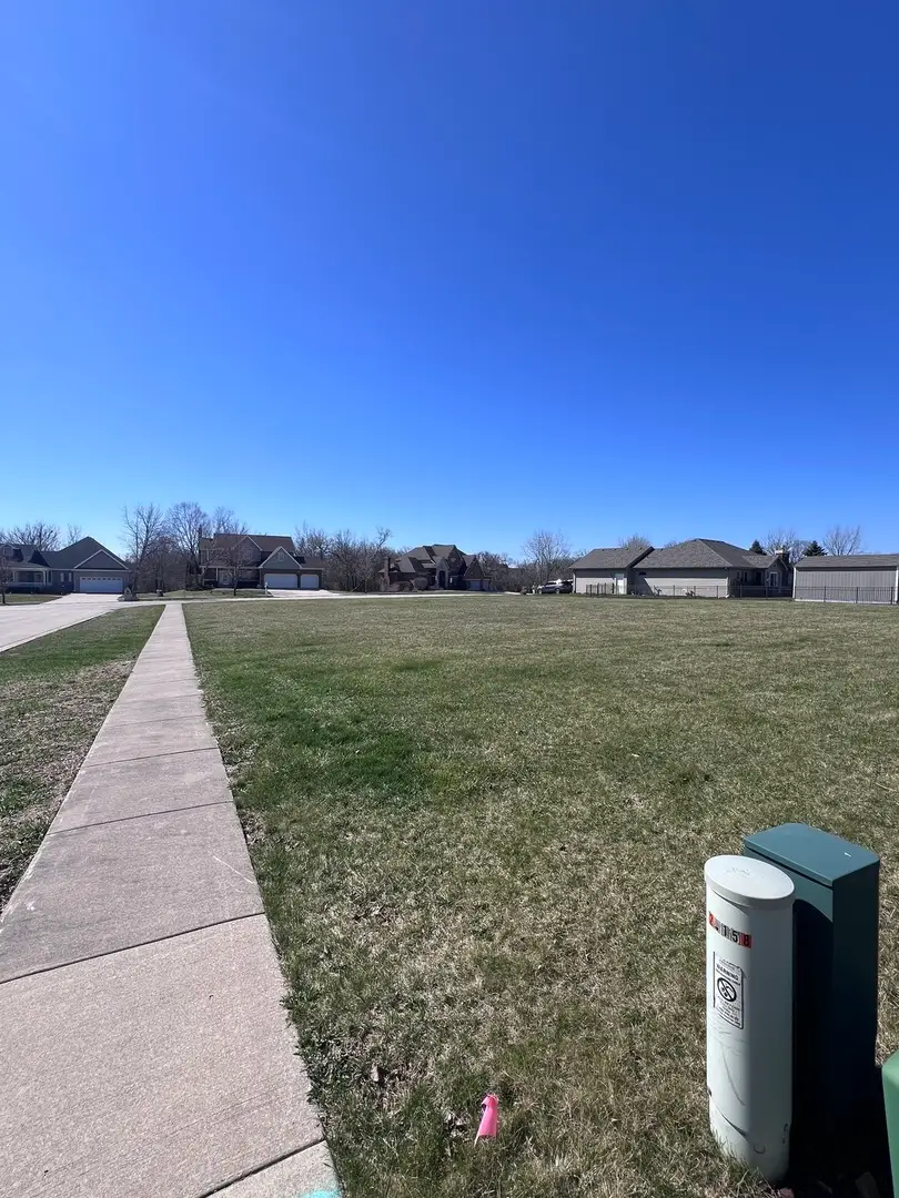 21140 Magnolia Lane, Elwood, IL 60421 - #2