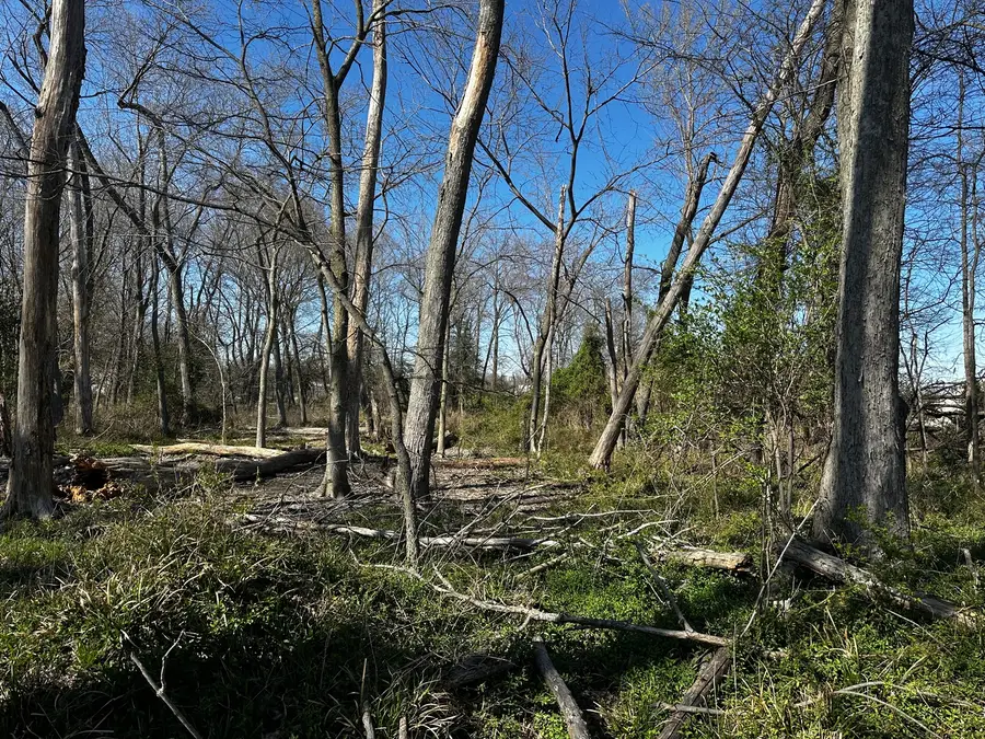 TBD Beckman Road, Mount Vernon, IL 62864 - #2