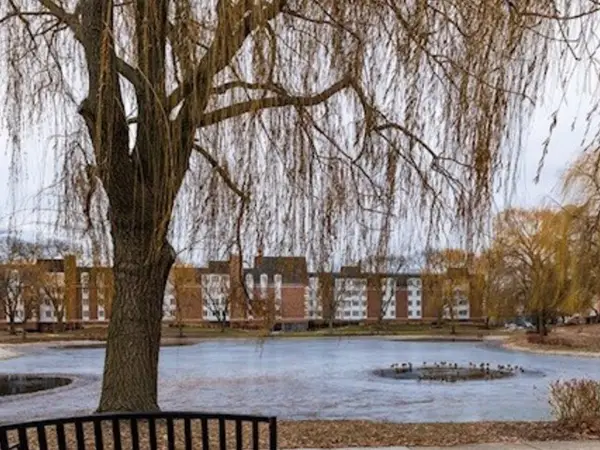 225 Lake Boulevard #517, Buffalo Grove, IL 60089