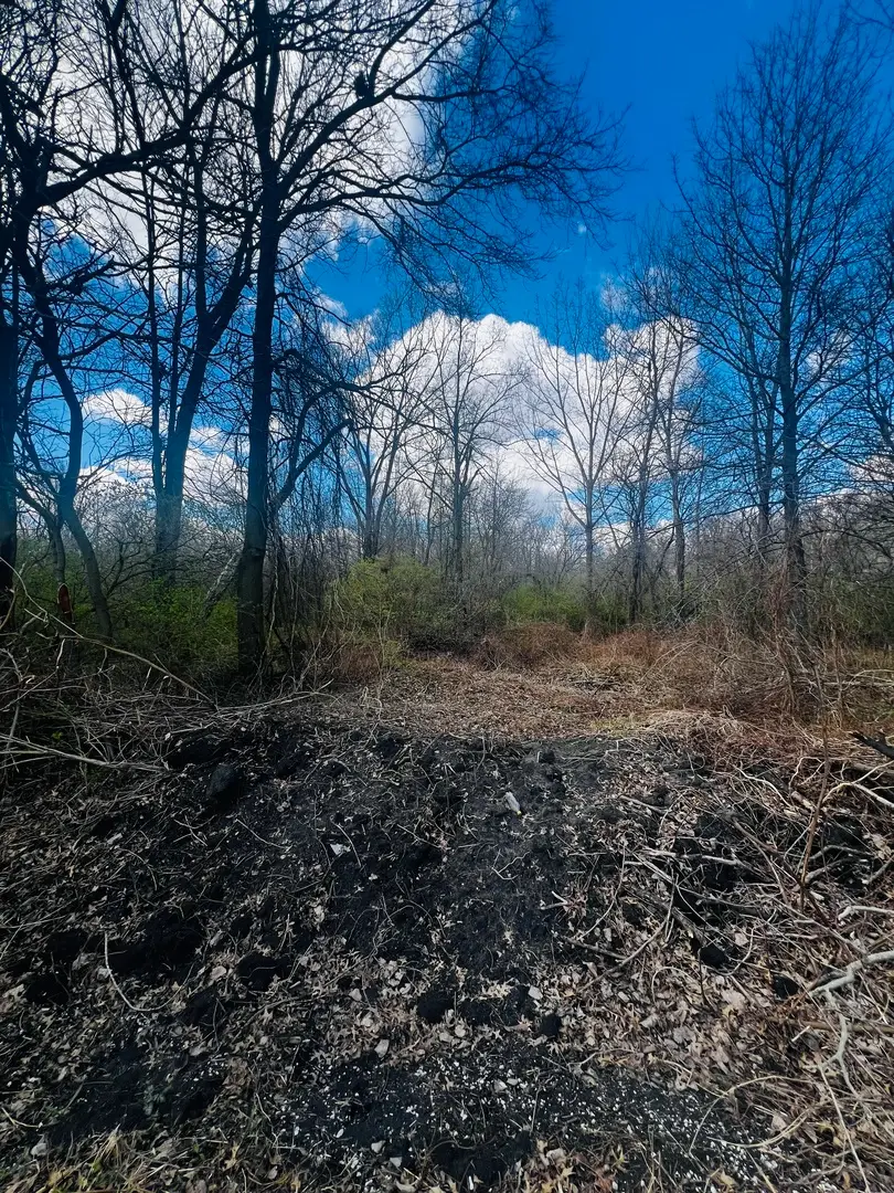 2240 S 15000 Road E, Pembroke, IL 60958 - #3