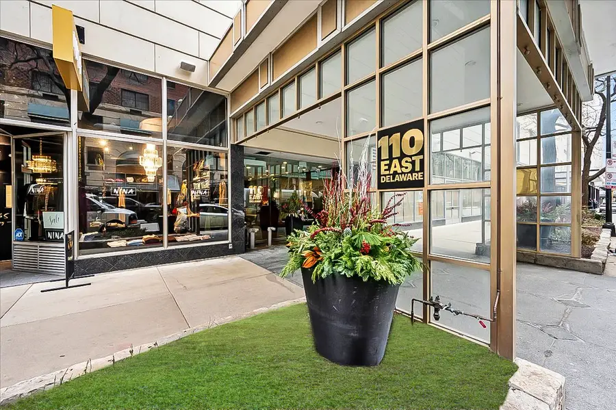110 E Delaware Place #1702, Chicago, IL 60611 - #2