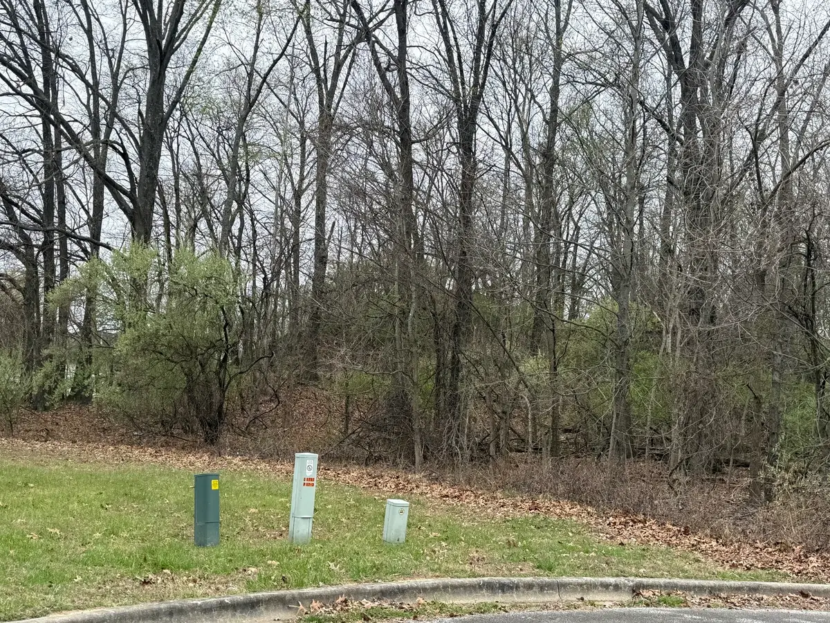 TBD Kokopelli Drive, Marion, IL 62959 - #1