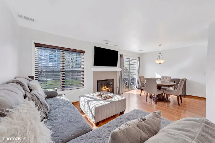 208 Westminster Court #D, Schaumburg, IL 60193 - #3