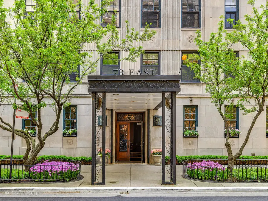 73 E Elm Street #4B, Chicago, IL 60611 - #2