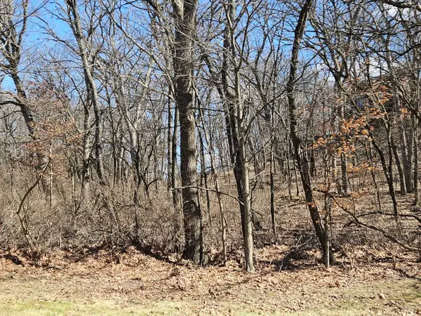 1302 Beech Lane, Dixon, IL 61021