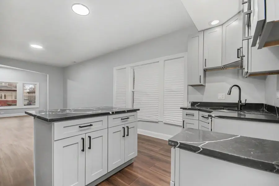 8030 S Constance Avenue, Chicago, IL 60617 - #3