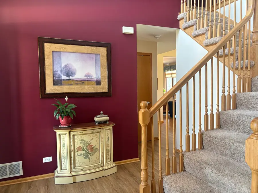 20004 Everett Lane, Mokena, IL 60448 - #3