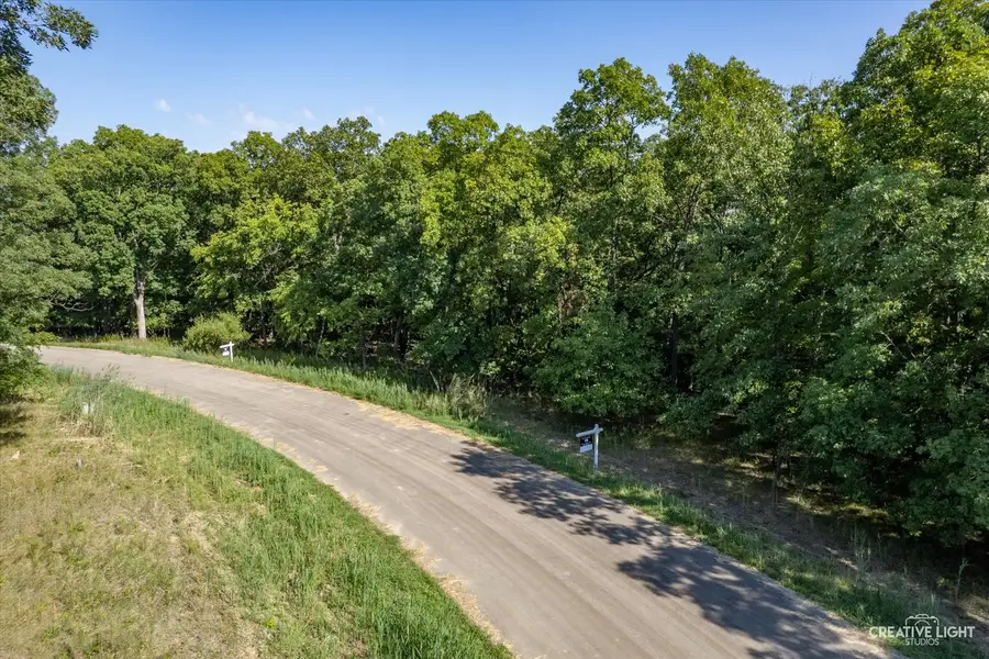 Lot 56 Eagle Chase Drive, Marseilles, IL 61341 - #2