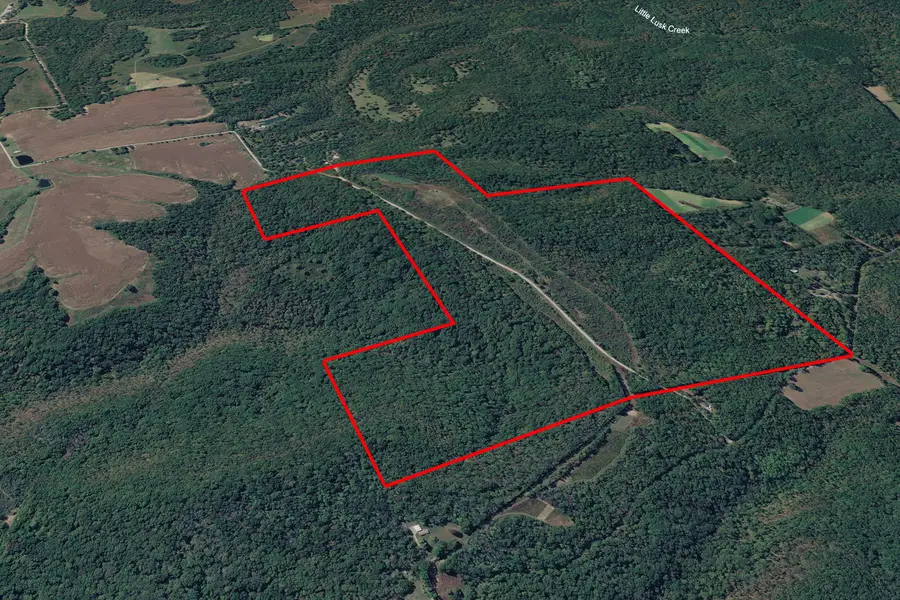 191 Bruce Johnson Road, Herod, IL 62947 - #2