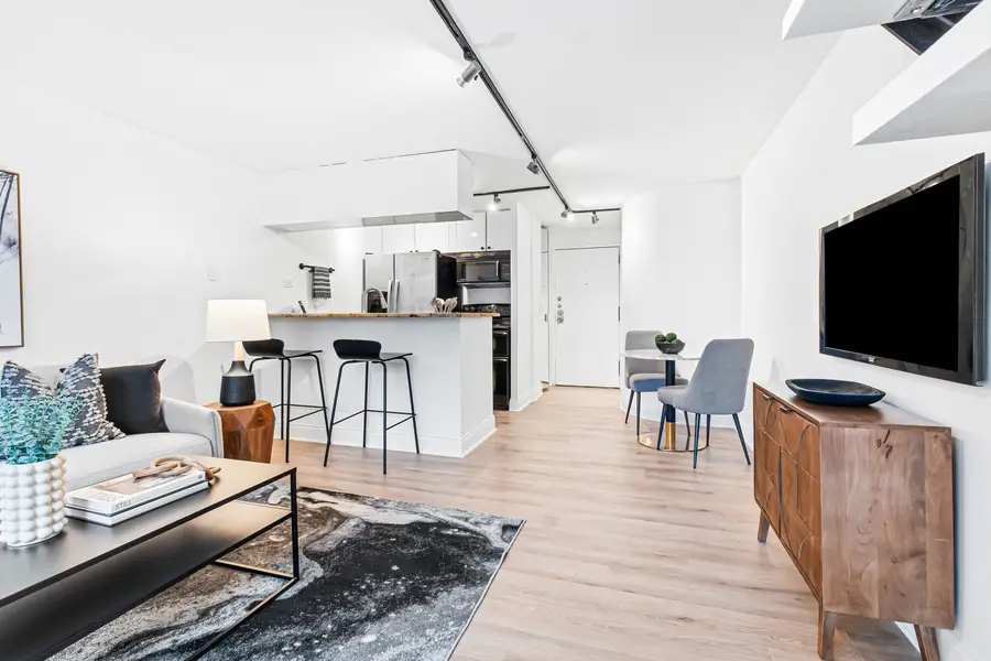 1221 N Dearborn Street #PH8S, Chicago, IL 60610 - #3