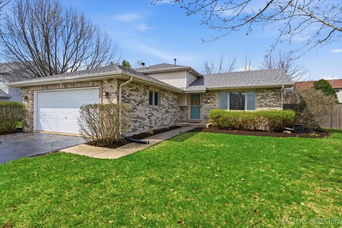 703 Ferret Crossing, Oswego, IL 60543 - #1