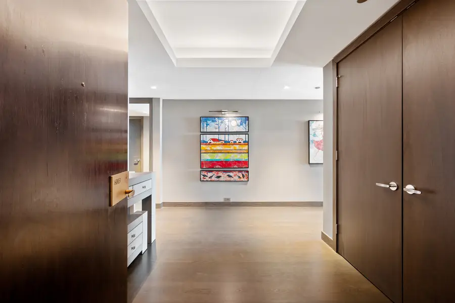 180 E Pearson Street #6003, Chicago, IL 60611 - #2