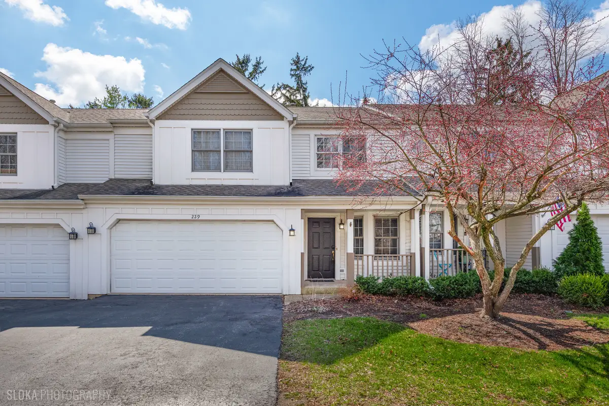 229 Spring Point Drive, Carpentersville, IL 60110 - #1