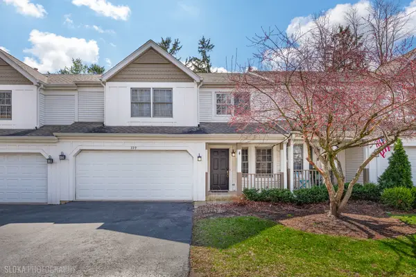 229 Spring Point Drive, Carpentersville, IL 60110