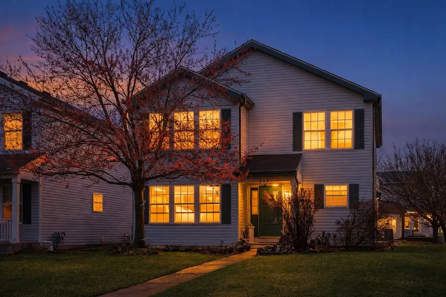 342 Ogden Falls Boulevard, Oswego, IL 60543 - #2