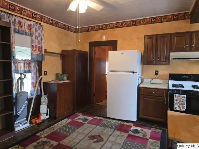 220 N Scofield, Carthage, IL 62321 - #3