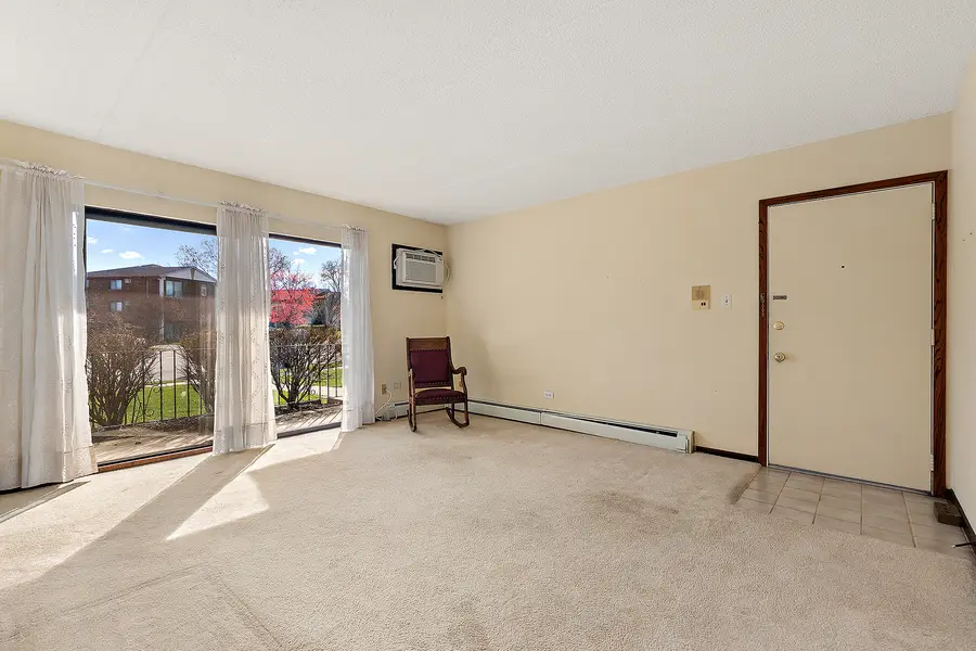 9960 Franchesca Court #1D, Orland Park, IL 60462 - #3