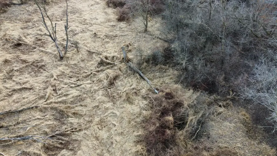 Lot 2 Palm Street, McHenry, IL 60051 - #3