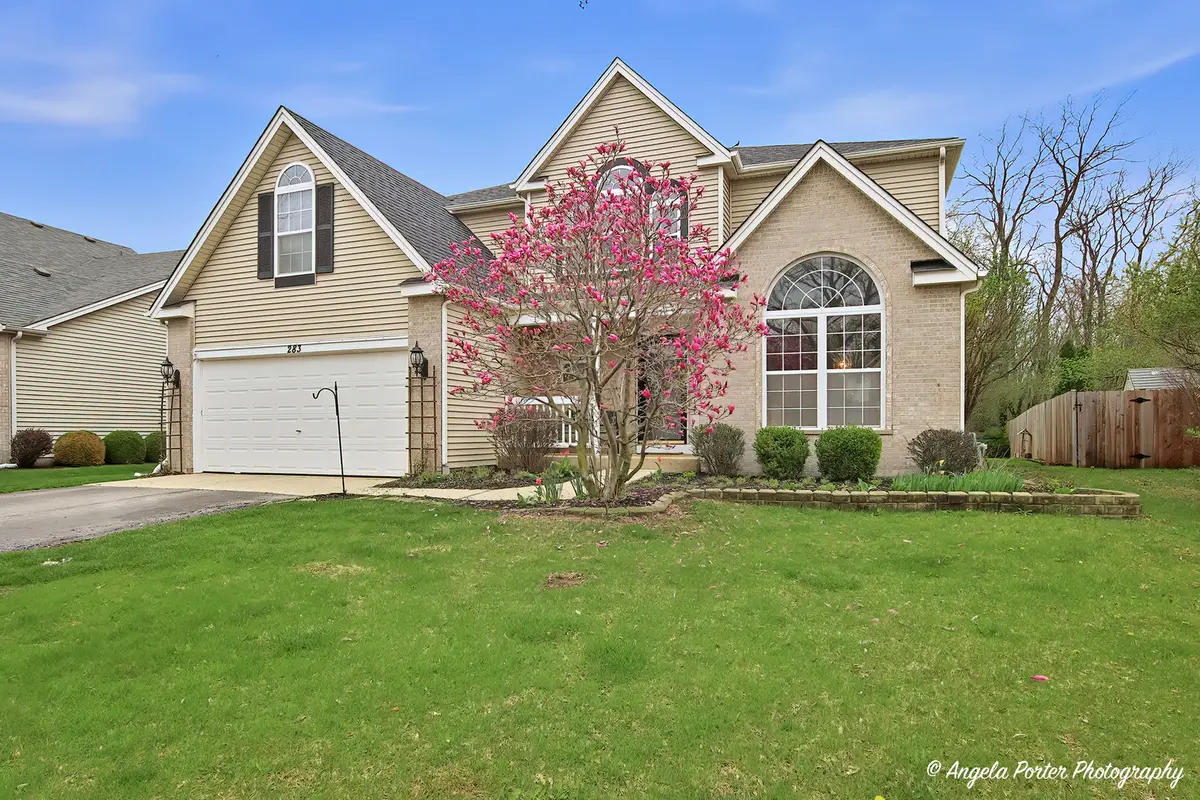 283 Spring Lake Drive, Round Lake, IL 60073 - #1