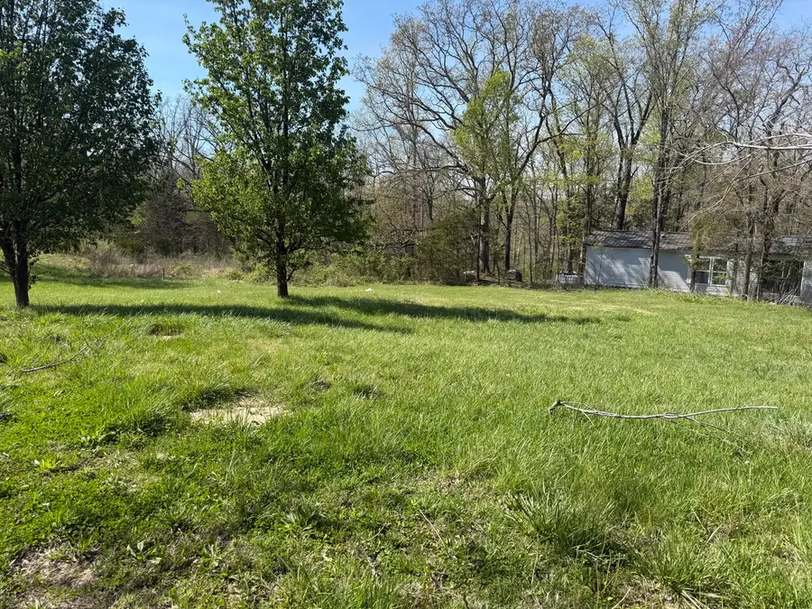 110 Cherokee Drive, Goreville, IL 62939 - #2