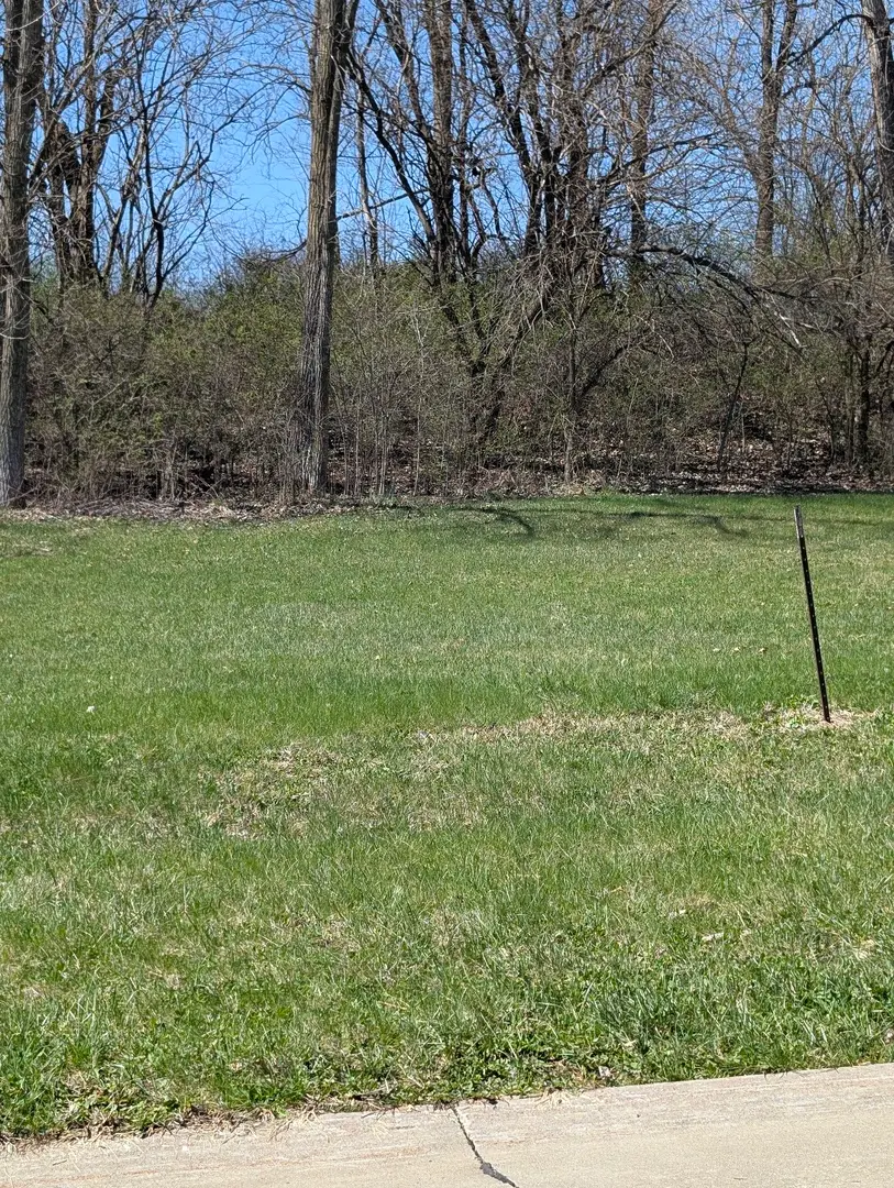 3410 Shadow Wood Court, Milan, IL 61264 - #2