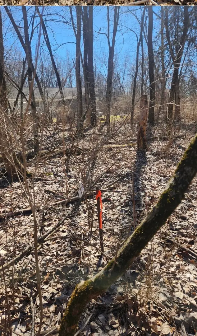 Address Withheld By Seller, Putnam, IL 61560 - #2