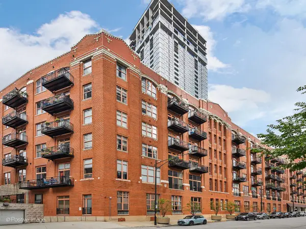 360 W Illinois Street #231, Chicago, IL 60654