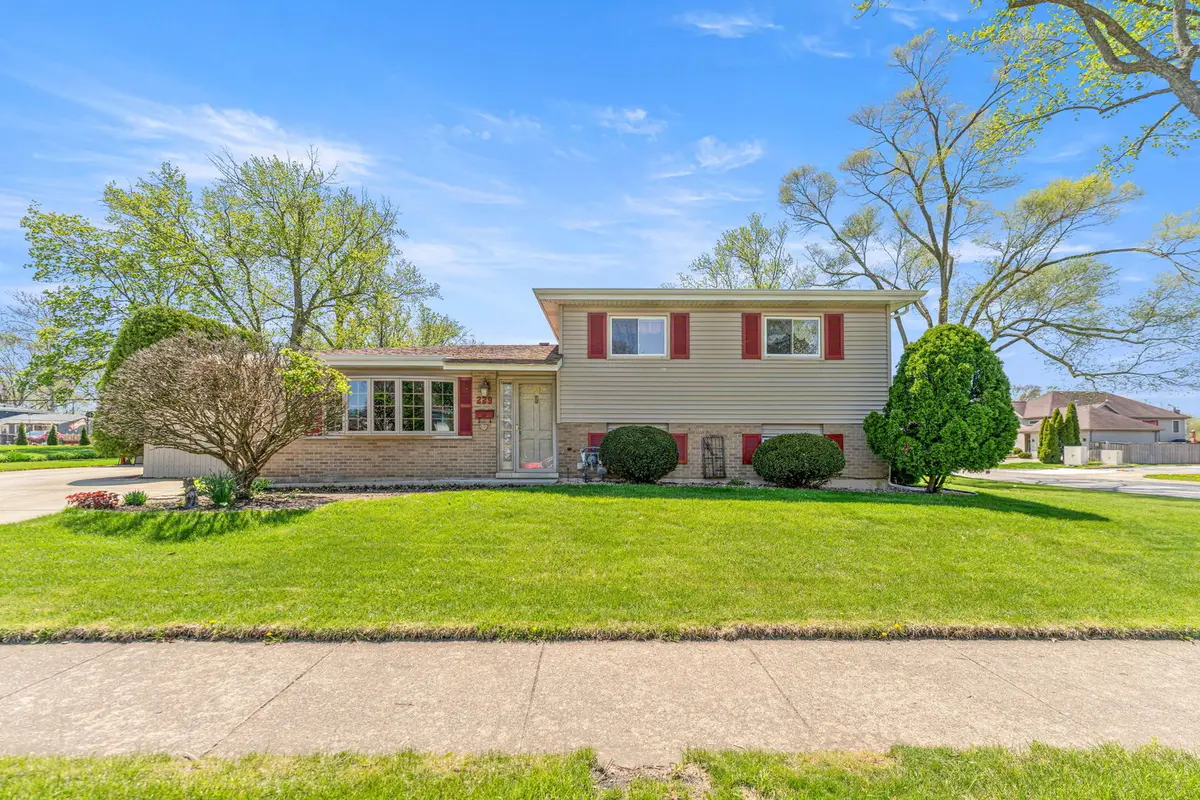 229 Illinois Street, Park Forest, IL 60466 - #1