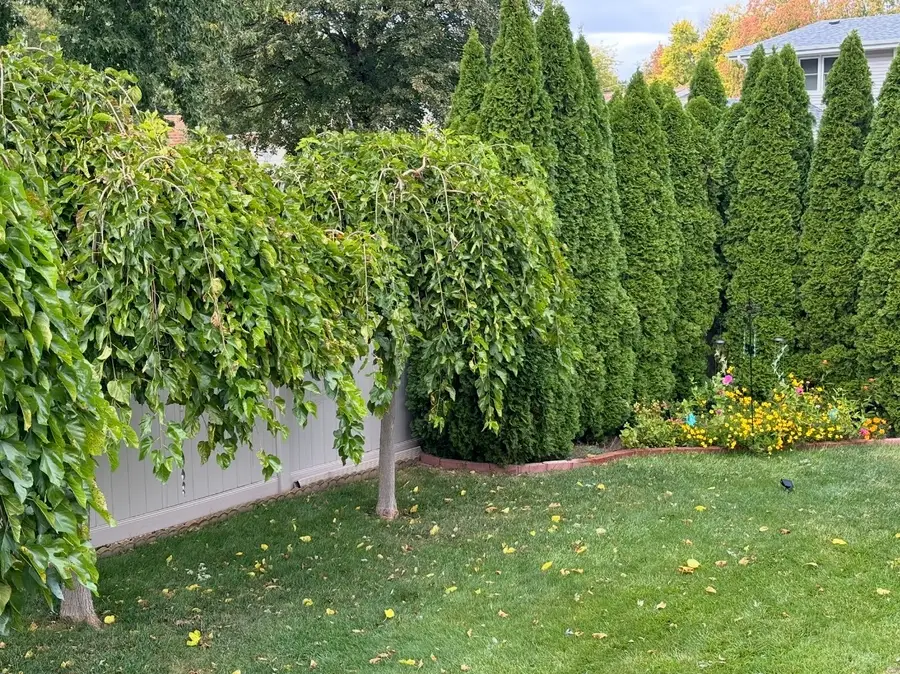 856 Quail Drive, Bradley, IL 60915 - #2