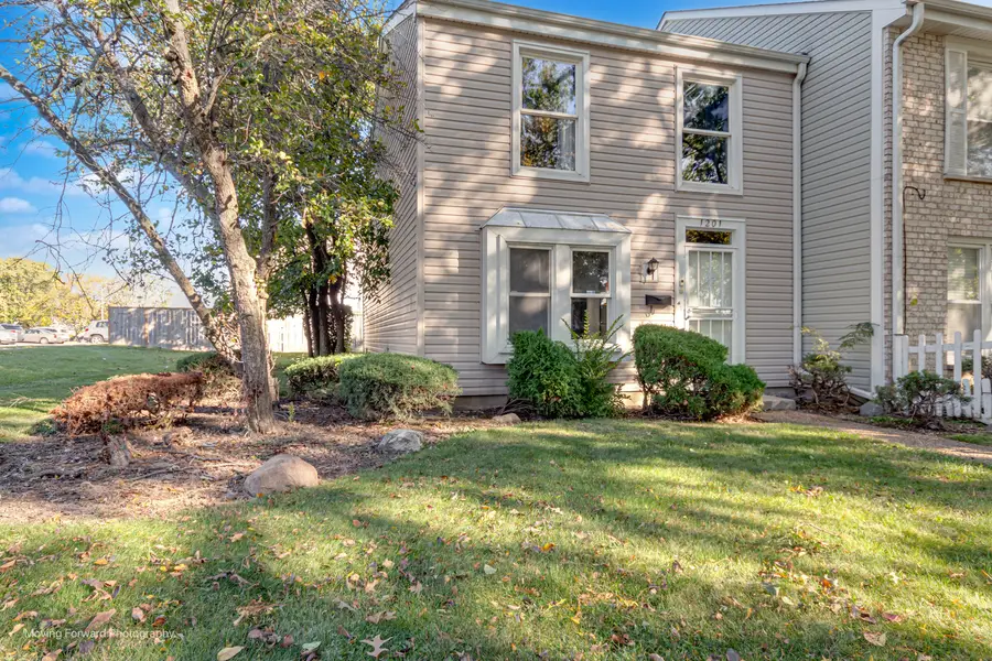 1201 Williamsburg Road, Country Club Hills, IL 60478 - #2