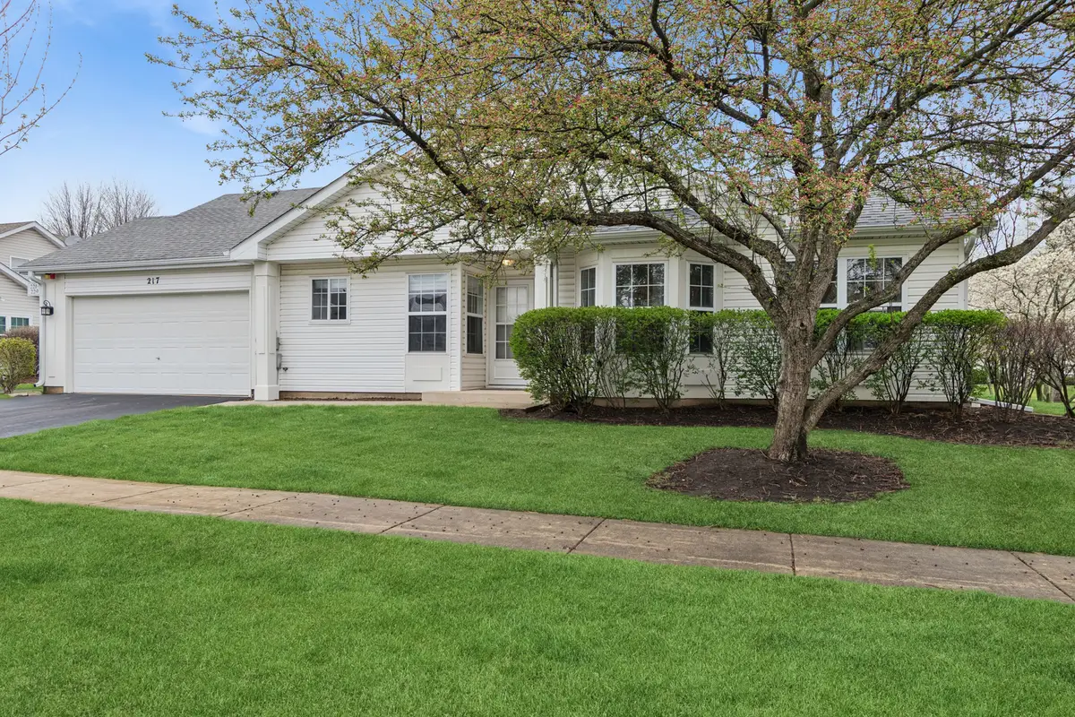 217 Kathryn Lane, North Aurora, IL 60542 - #1