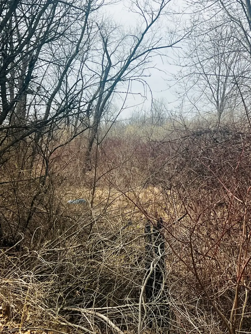 Address Withheld By Seller, Pembroke, IL 60958 - #2