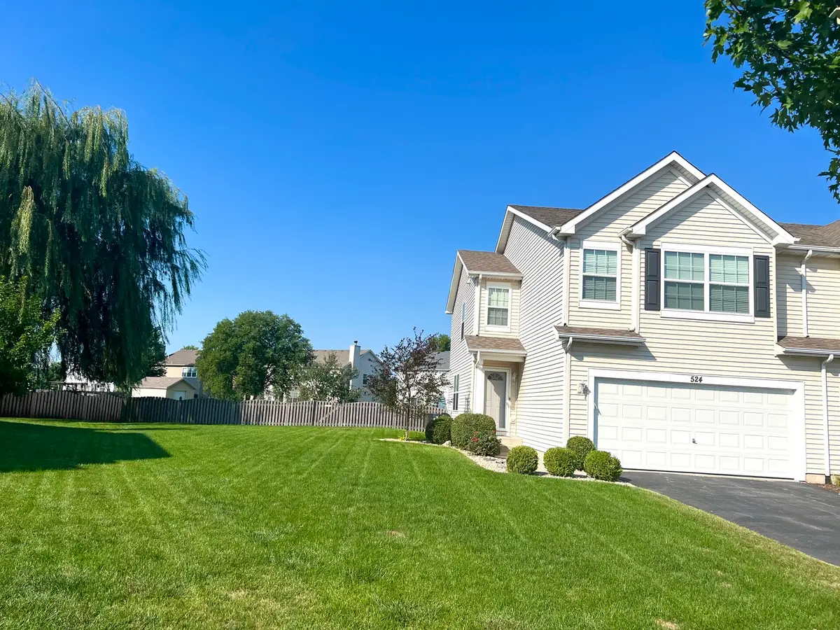 524 Lily Court, Minooka, IL 60447 - #1