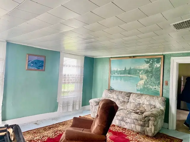 21049 800 N Avenue, Tiskilwa, IL 61368 - #3